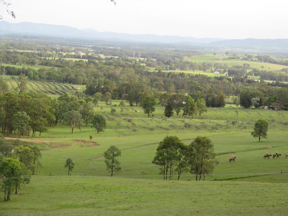 Hill Top Country Guest House Lovedale Exterior foto